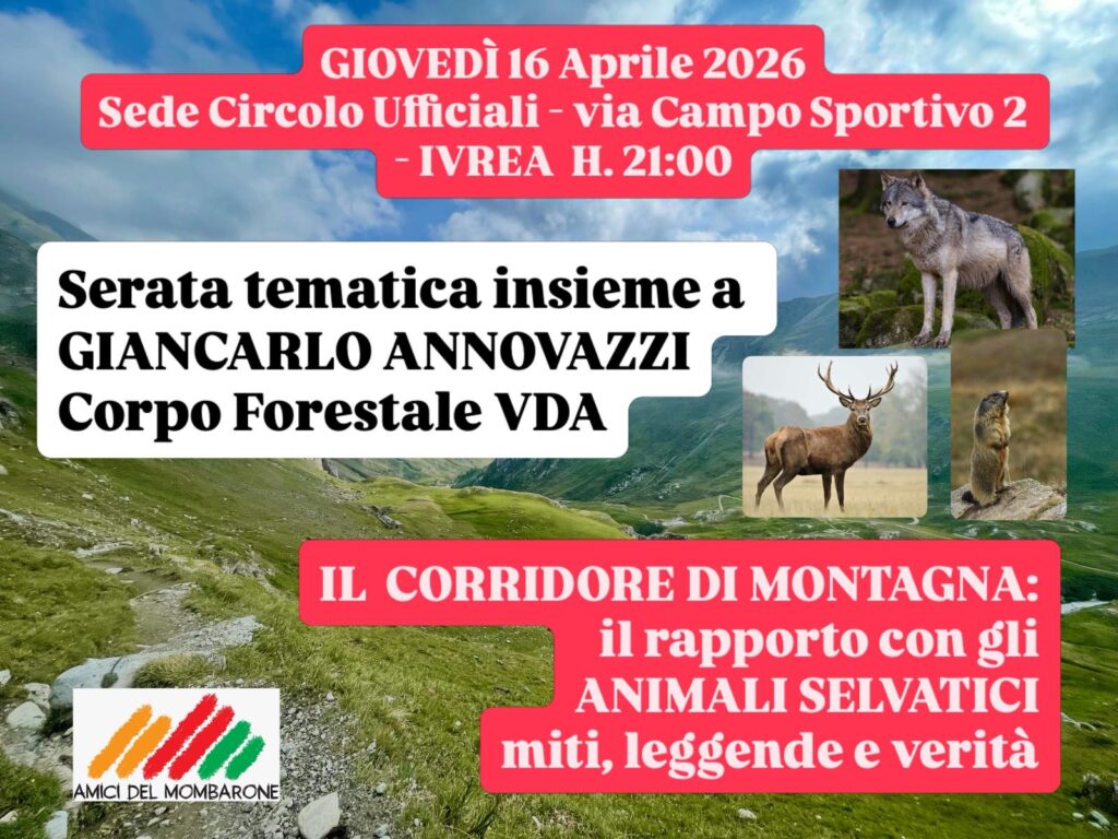 Ingresso libero & piccolo ristoro finale 
GIOVEDÌ 16 APRILE 
🕰️ Ore 21:00
📌 Circolo Ufficiali VIA CAMPO SPORTIVO 2, IVREA 
📣 Invitate i vostri amici appassionati di montagna!!